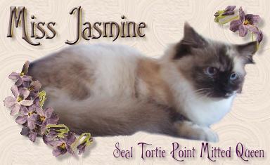 Miss Jasmine