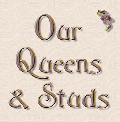 Our Queens & Studs title