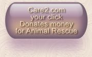 click to help abandoned pets