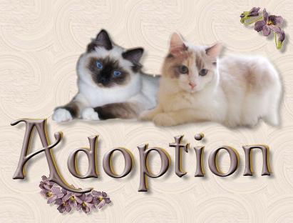adoption title